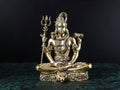 Premium Divine Shiva 2.5 inch / 3 / 4 / 6 / 7 Inch  inch Premium Brass